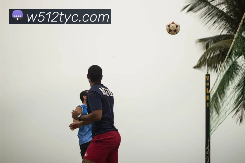 太阳成APP 封面图